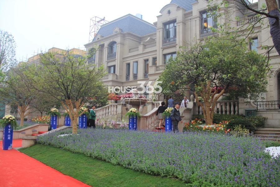 顺发恒园别墅实景图 2014.4.12摄 