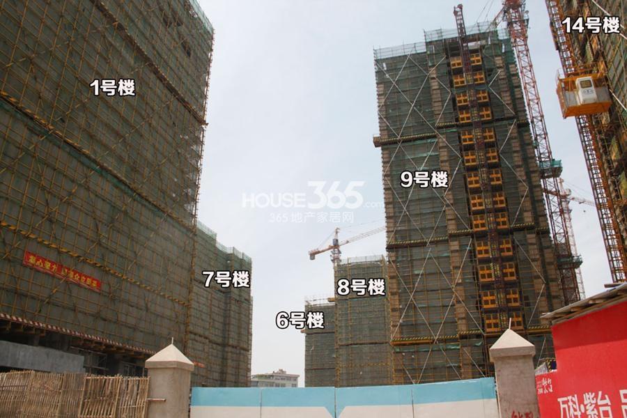 万科紫台1、6-9、14号楼施工实景图 2014.5.7摄