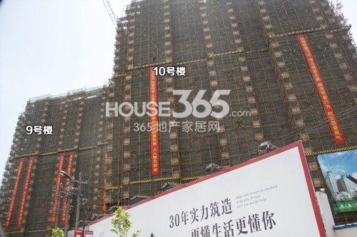 信宇锦润公寓9、10号楼实景图 2014.5.7摄