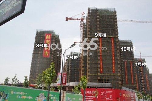 信宇锦润公寓1、7-10号楼实景图 2014.5.7摄
