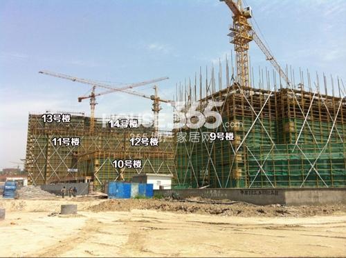世茂东壹号9-14号楼施工实景图 2014.5.7摄