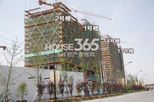 世茂东壹号1、2、13、14号楼施工实景图 2014.5.7摄