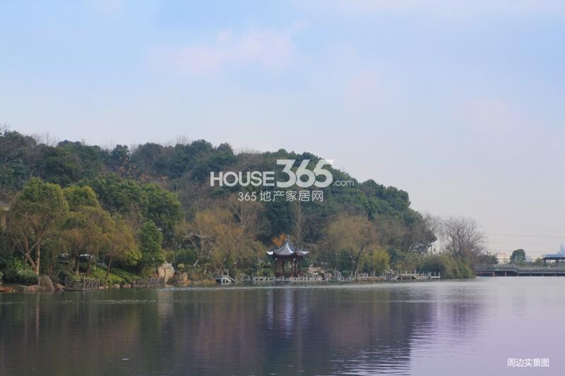 联合畔上居项目周边环境实景