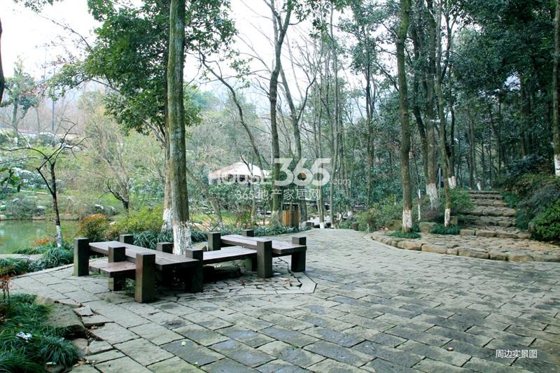 联合畔上居项目周边环境实景