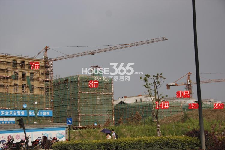 绿城西溪融庄7、8、14、15、22号楼6月实景图 2014.6.13