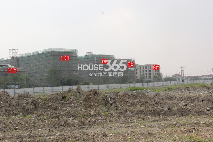 绿城西溪融庄2、5、6、10、11号楼6月实景图 2014.6.13