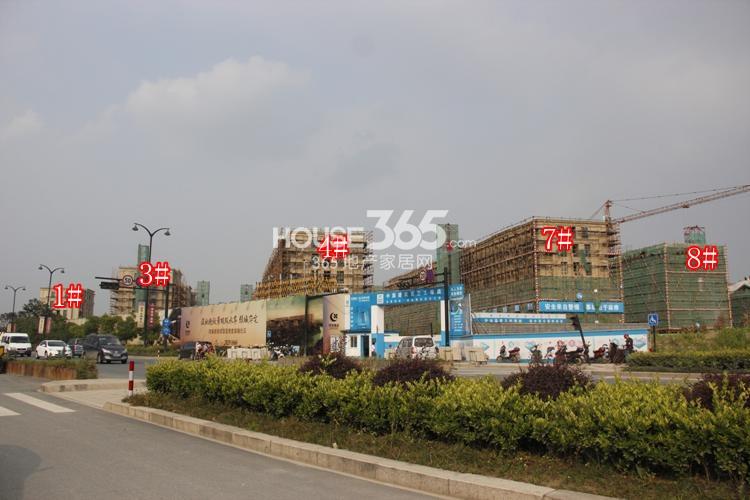 绿城西溪融庄1、3、4、7、8楼幢6月实景图 2014.6.13