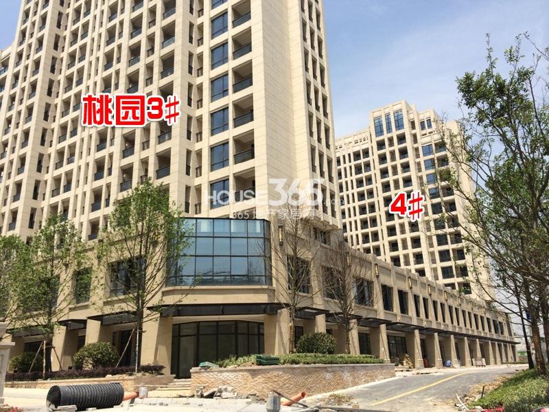 金都夏宫桃园3、4号楼施工进程（2014.05）