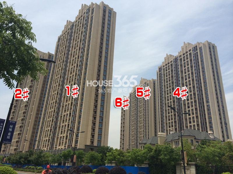金都夏宫桃园1、2、4—6号楼施工进程（2014.05）