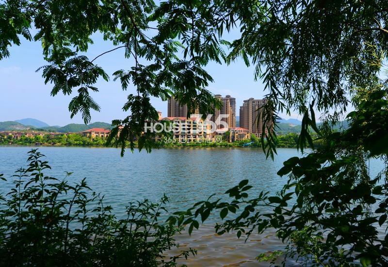 东海闲湖城高层实景