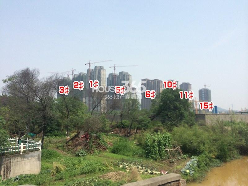 金地天逸1-3、5、6、10、11、15号楼实景图 2014.5.21摄