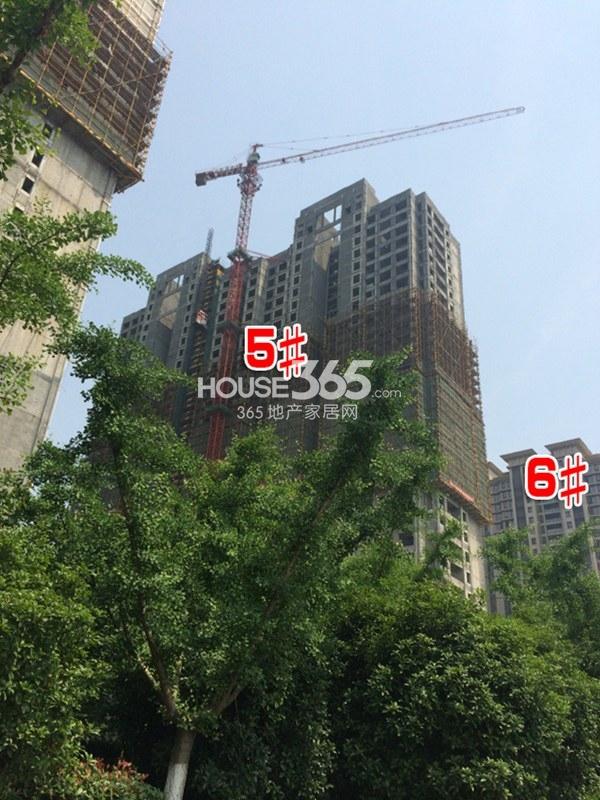 金地天逸5、6号楼实景图 2014.5.21摄