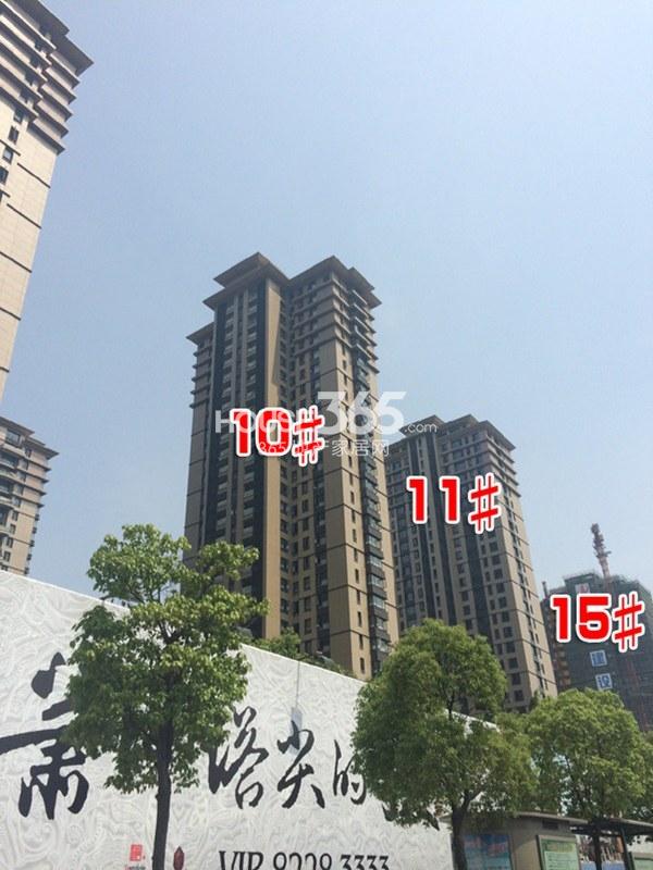 金地天逸11、13、15号楼施工实景图 2014.5.21摄