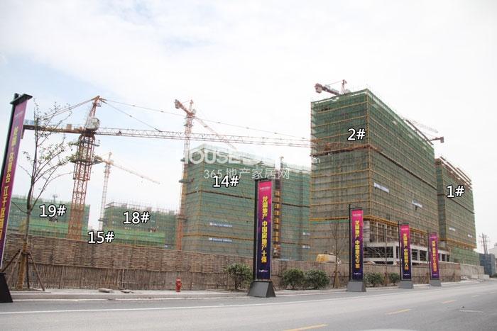 龙湖名景台1、2、14、15、18、19号楼施工实景图（2014.5.22摄） 