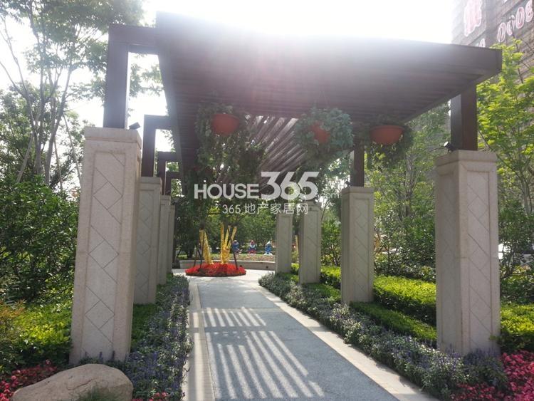 万科紫台现场景观实景图 （2014.6.10摄） 