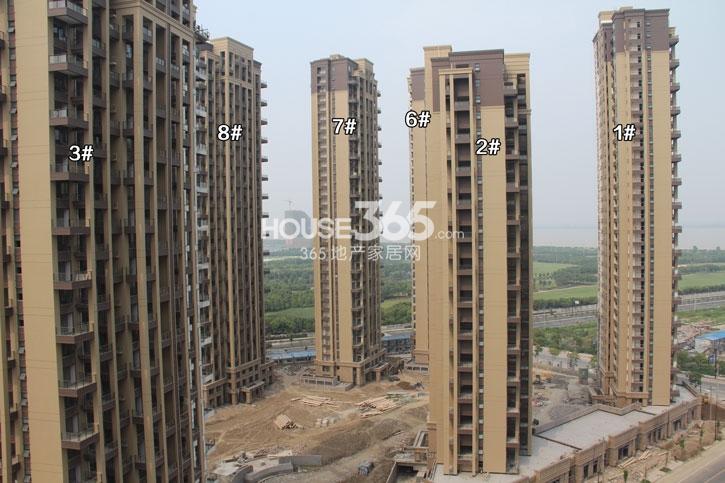 保利城市果岭1-3、6-8号楼施工实景图 （2014.6.12摄）