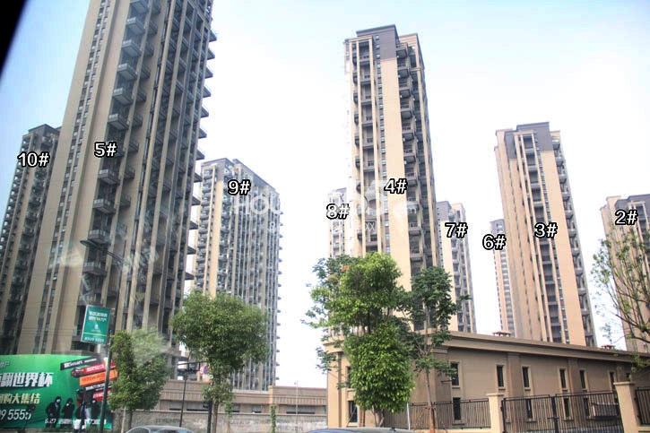 保利城市果岭2-10号楼施工实景图 （2014.6.12摄） 