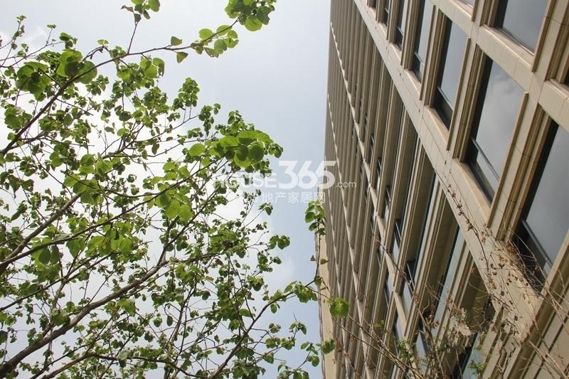 2014年7月份绿城蘭园项目一期（已交付）外立面特写