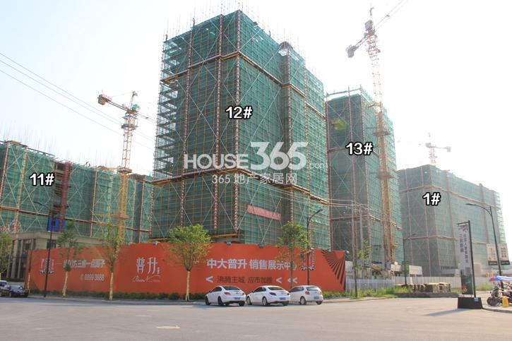 中大普升1、11、12、13号楼现场施工实景图 2014.7.29摄