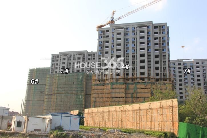 万科紫台4、5、6、7号楼实景图 2014.7.29摄