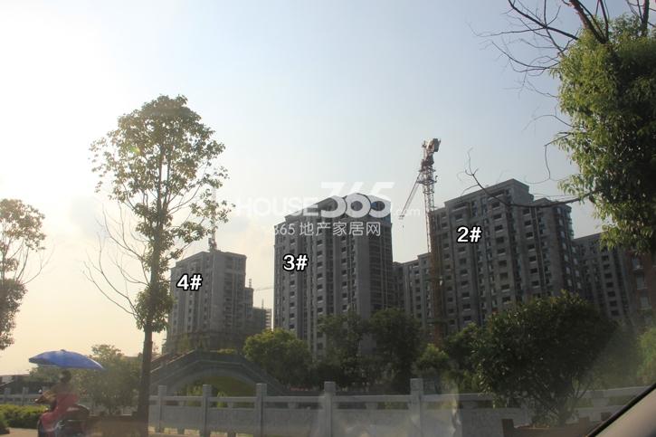 万科紫台2、3、4号楼实景图 2014.7.29摄