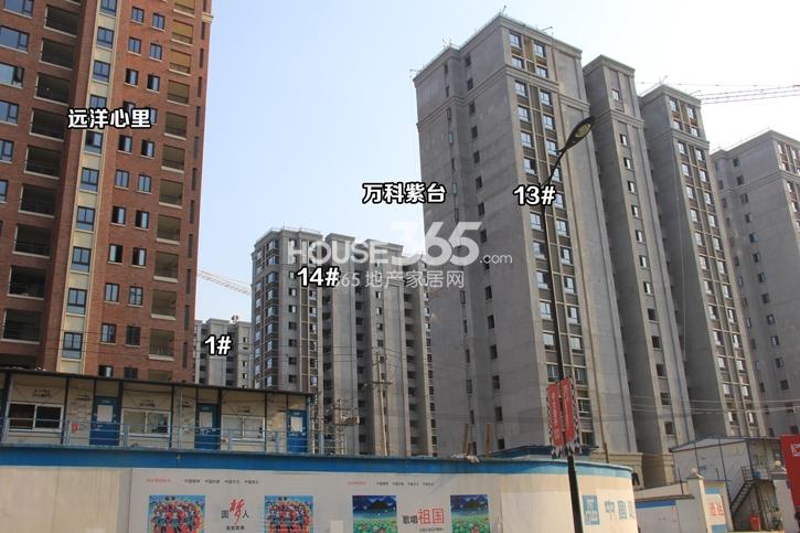 万科紫台1、13、14号楼实景图 2014.7.29摄