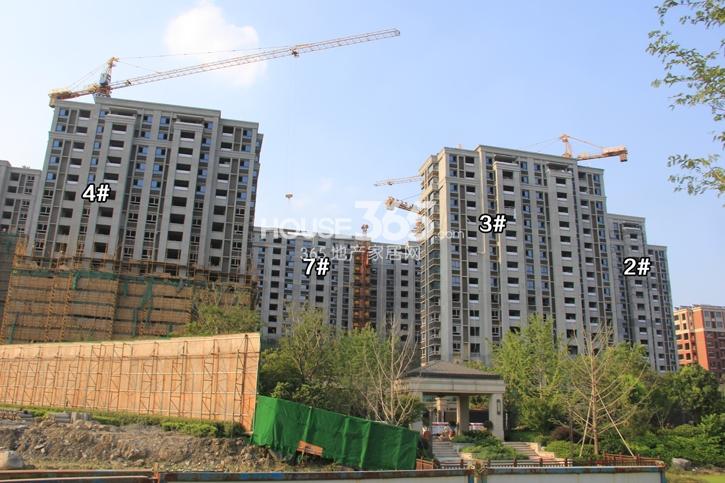 万科紫台2、3、4、7号楼实景图 2014.7.29摄
