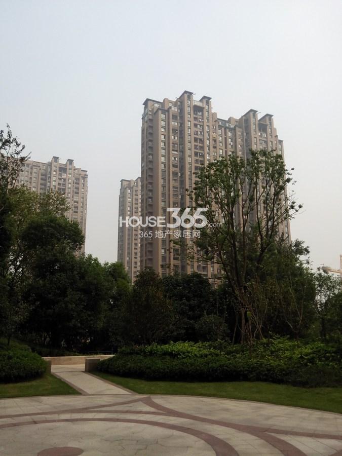 东海金沙T台项目景观实景图 2014年9月摄