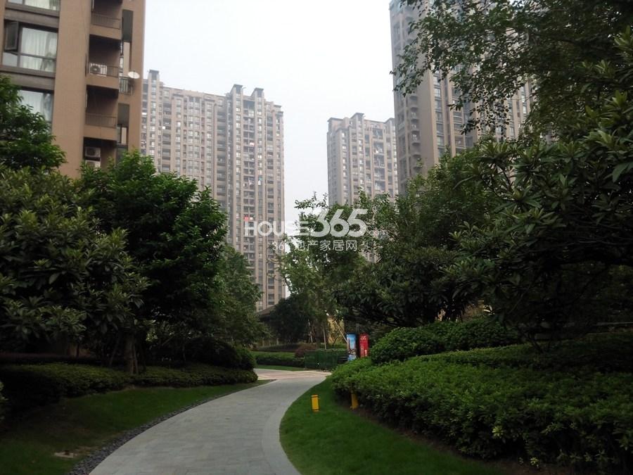 东海金沙T台园区绿化实景图 2014年9月摄