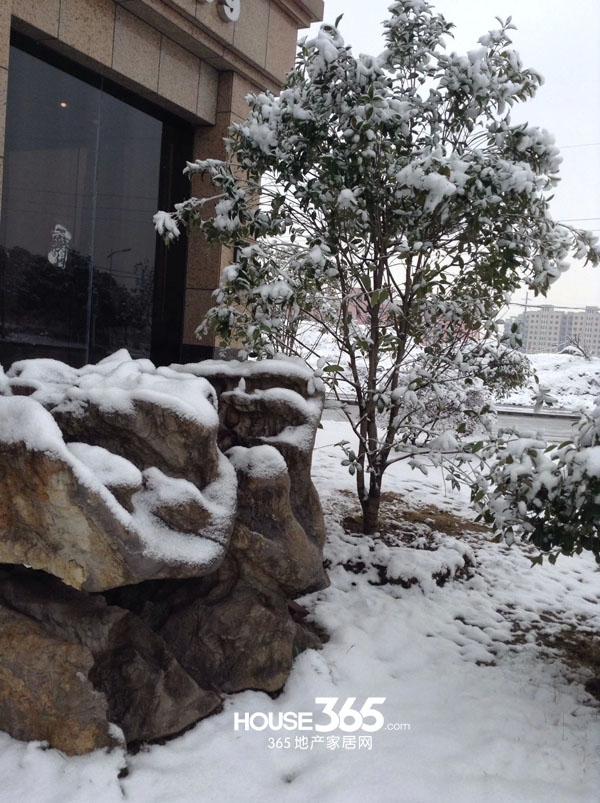 水岸豪庭售楼部实景图