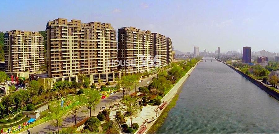 公园城沿河绿化实景图 2014年3月摄