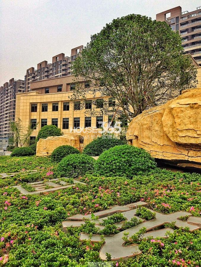 公园城外景绿化实景图 2014年3月摄