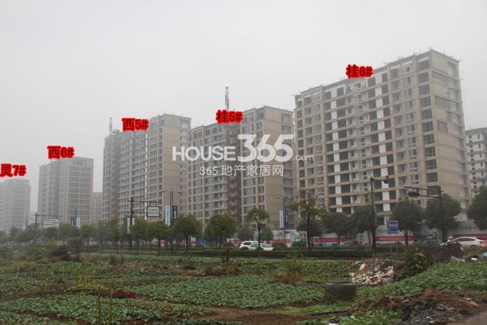 翡翠城西南区进度 2014.11