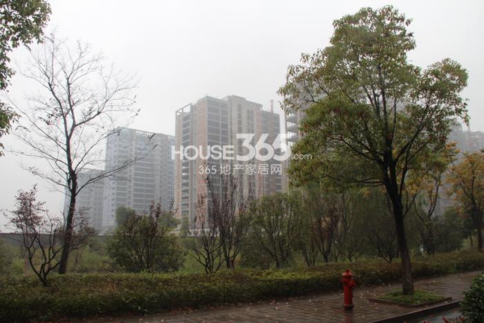 合景瑜翠园周边 2014.11
