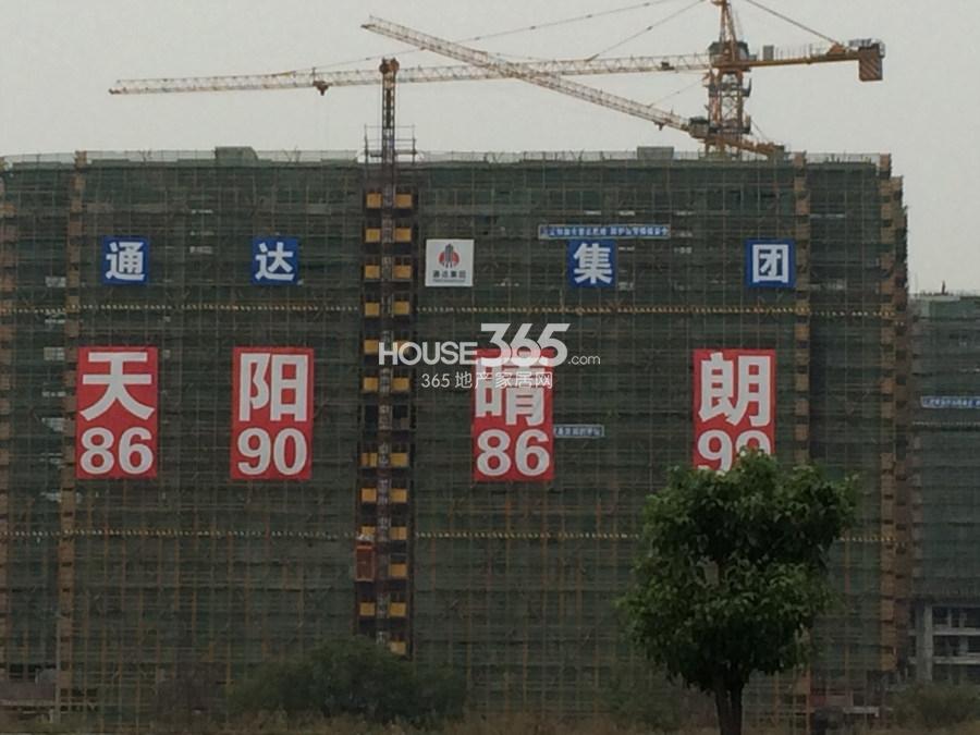 天阳晴朗1号楼施工进度 2014年11月摄
