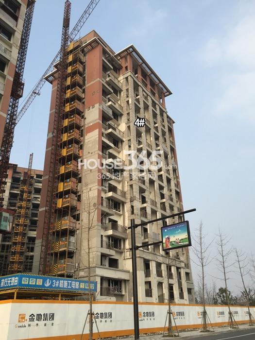 金地格林格林4号楼施工进度 2015年1月摄