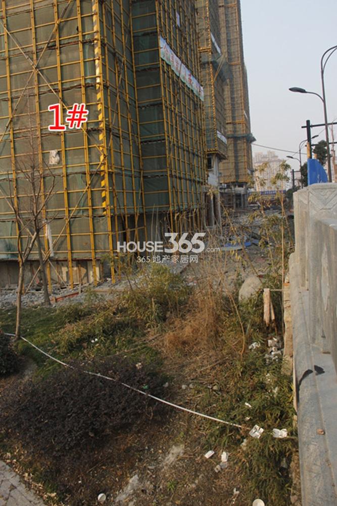 2015年1月份大家运河之星项目实景--1号楼