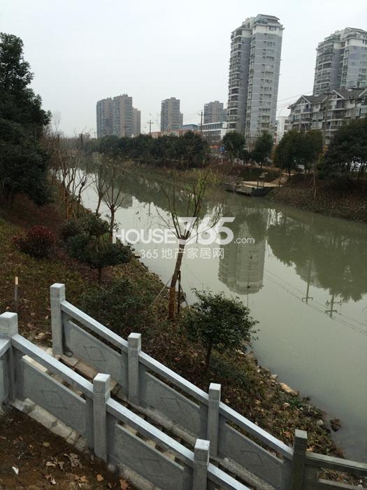 2015年1月份汉嘉申花郡项目周边的河
