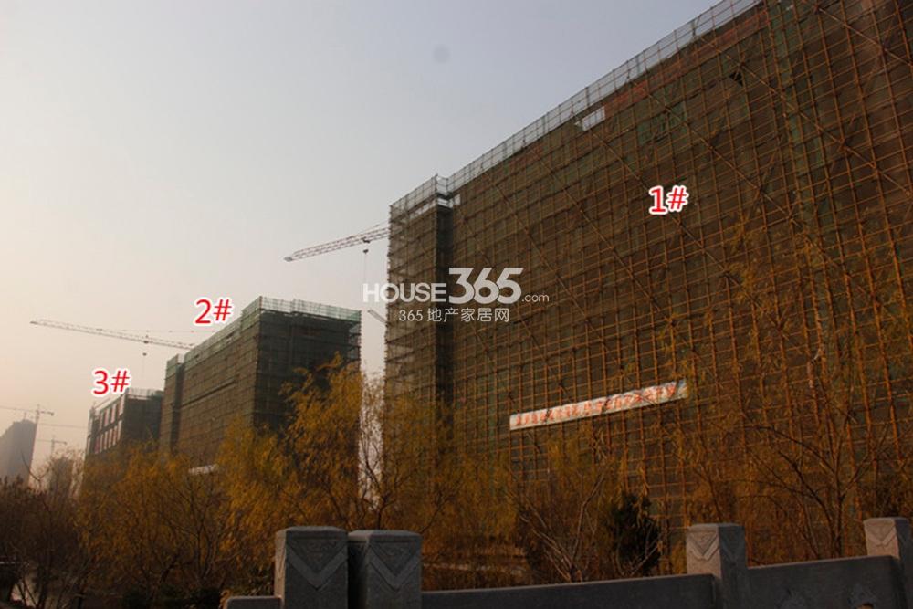 2015年1月份大家运河之星项目实景--1-3号楼