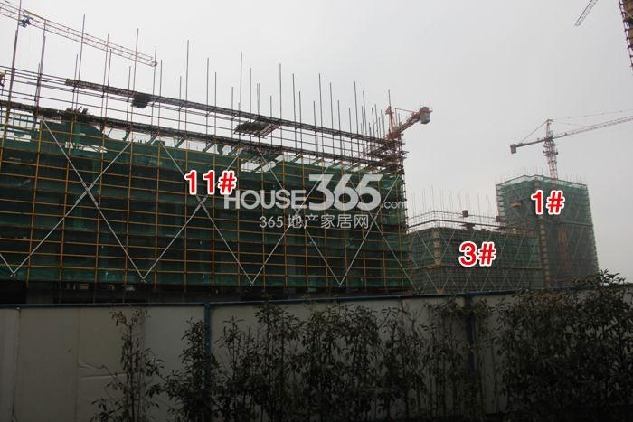  2015年1月底德信早安项目实景--1、3、7号楼