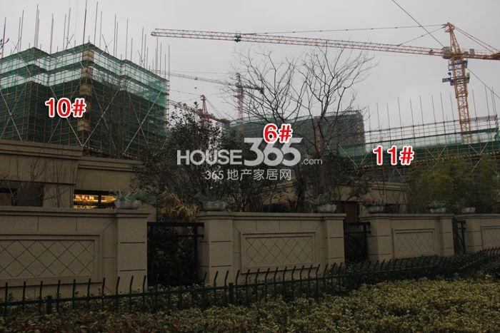  2015年1月底德信早安项目实景--6、10、11号楼