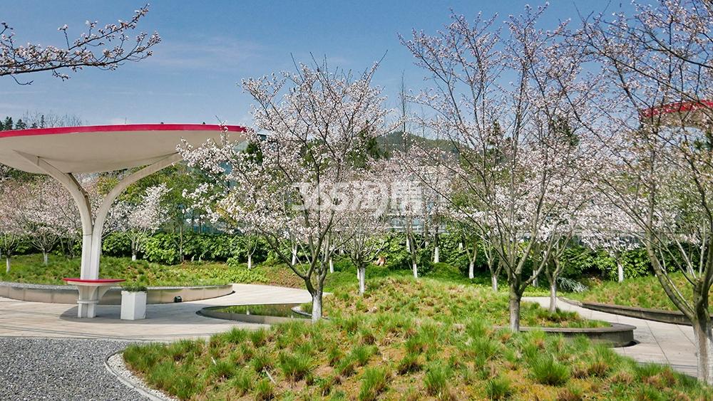 云安朴座实景图