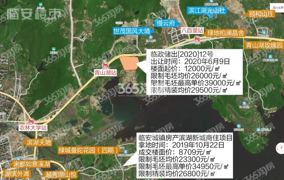 绿城滨湖新城宅地区位图