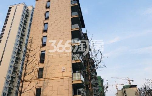 荷岸晓风（花园）小区楼栋实景图