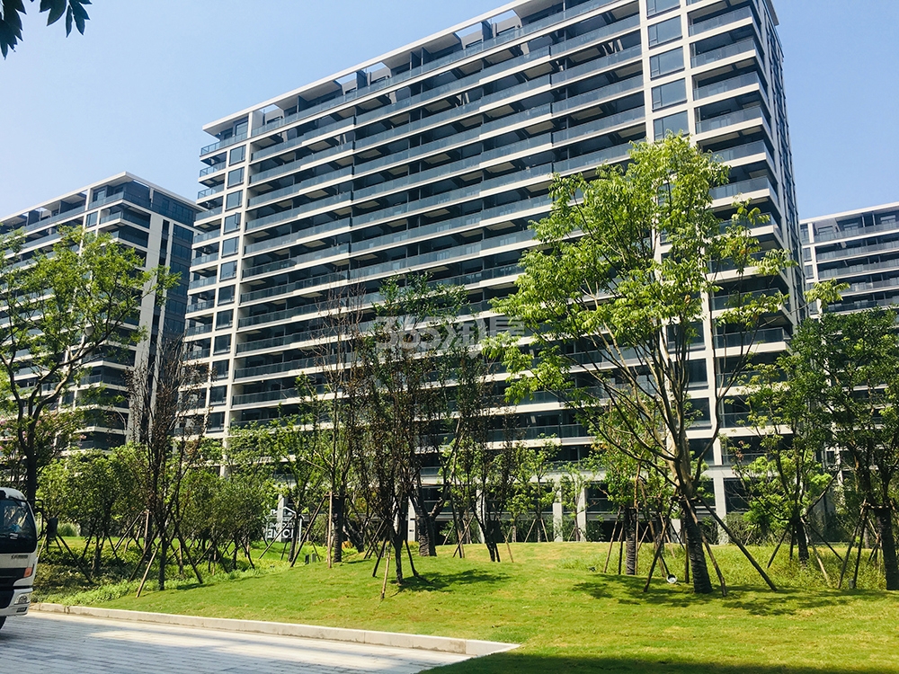 卓越蔚蓝领秀交付实景（2019.8）