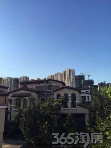 临沂花园别墅龙园高端占地1.5亩仅此一套150石湾镇别墅售再博罗图片
