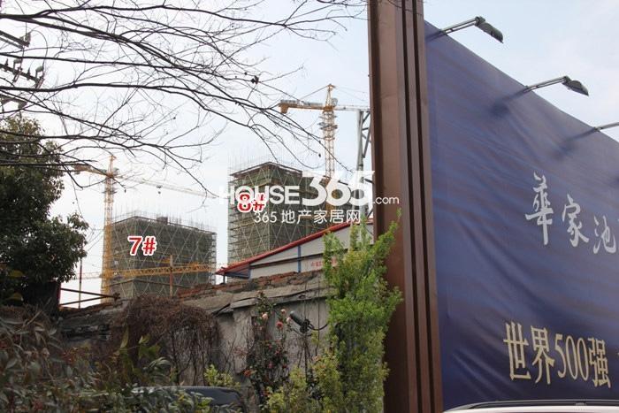 绿地华家池1号项目7、8号楼施工进度 2015年3月摄 