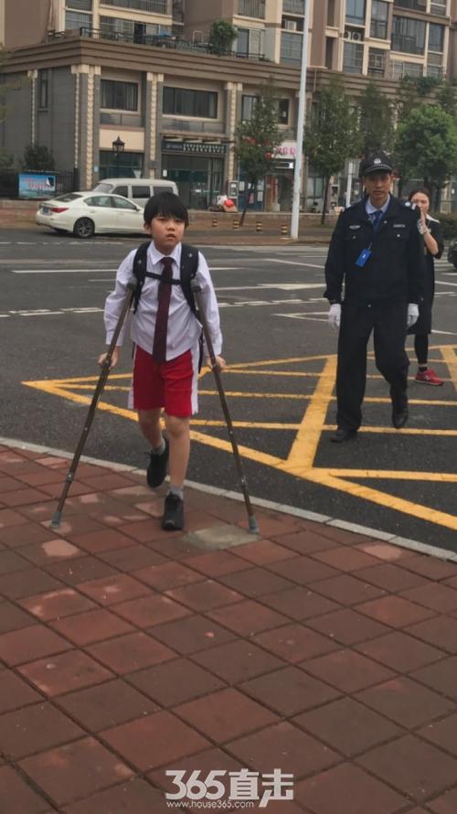 【2017开学季现场直击】合肥高新中加学校篇