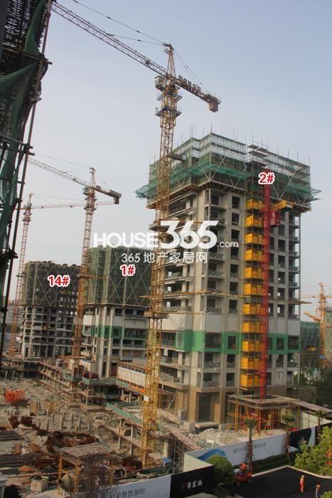滨江华家池1、2、14号楼施工实景图 2015年5月摄
