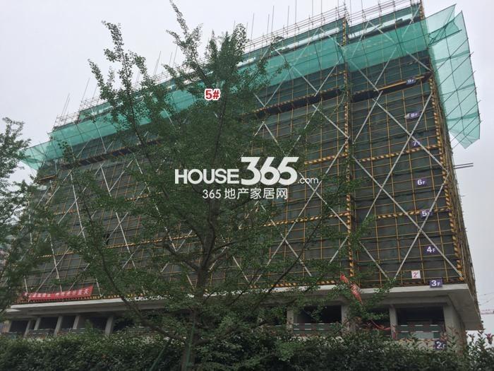 绿地华家池1号项目5号楼施工实景图 2015年5月摄